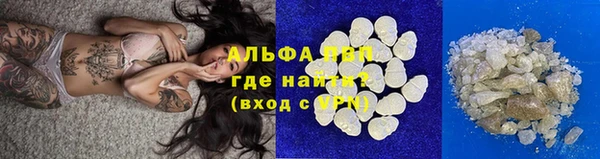 хмурый Гусь-Хрустальный
