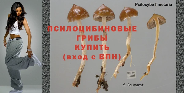 дживик Гусев