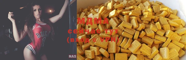 хмурый Гусь-Хрустальный