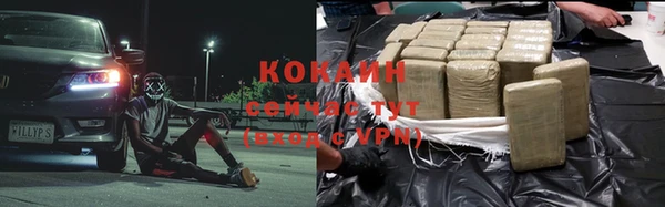 крисы Чекалин