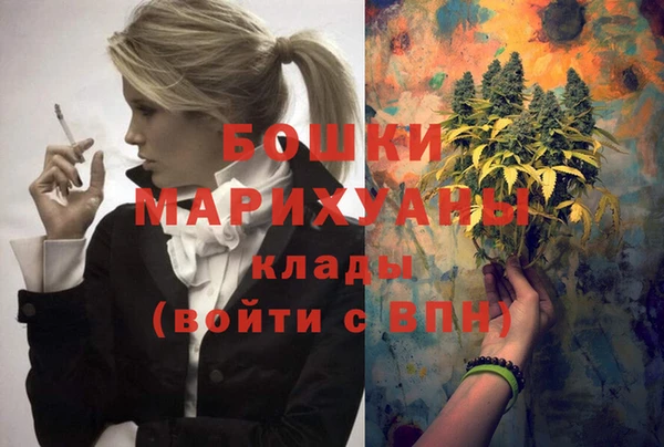 хмурый Гусь-Хрустальный