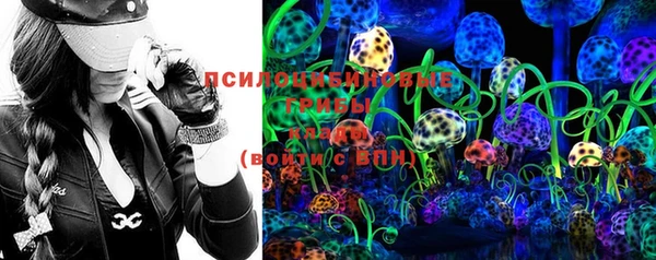 хмурый Гусь-Хрустальный