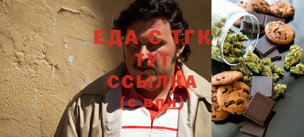хмурый Гусь-Хрустальный