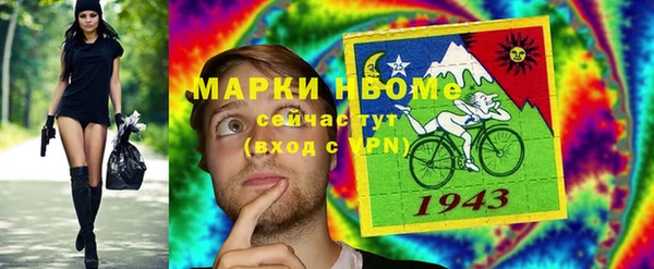 хмурый Гусь-Хрустальный