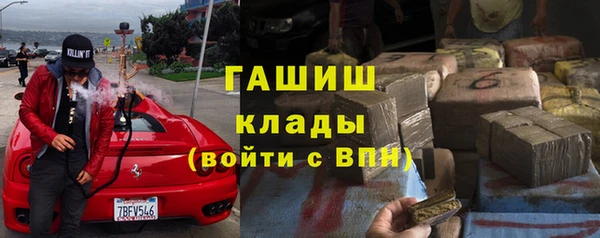 хмурый Гусь-Хрустальный